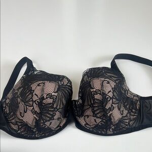 Paramour Black Lace BraWith Wires and Push Up